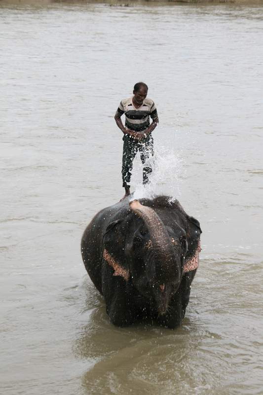 India & Nepal 2011 - 0570